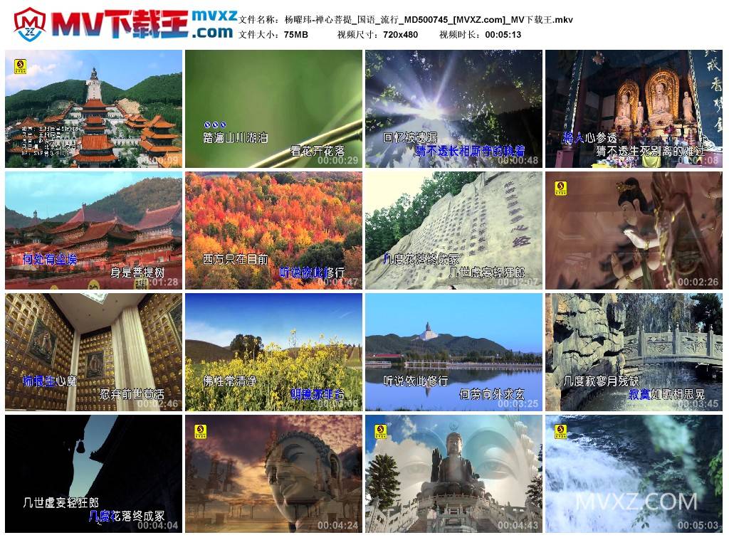 杨曜玮-禅心菩提_国语_流行_MD500745